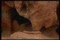 366083 Shadows Into Sunlight A4 Photo Print