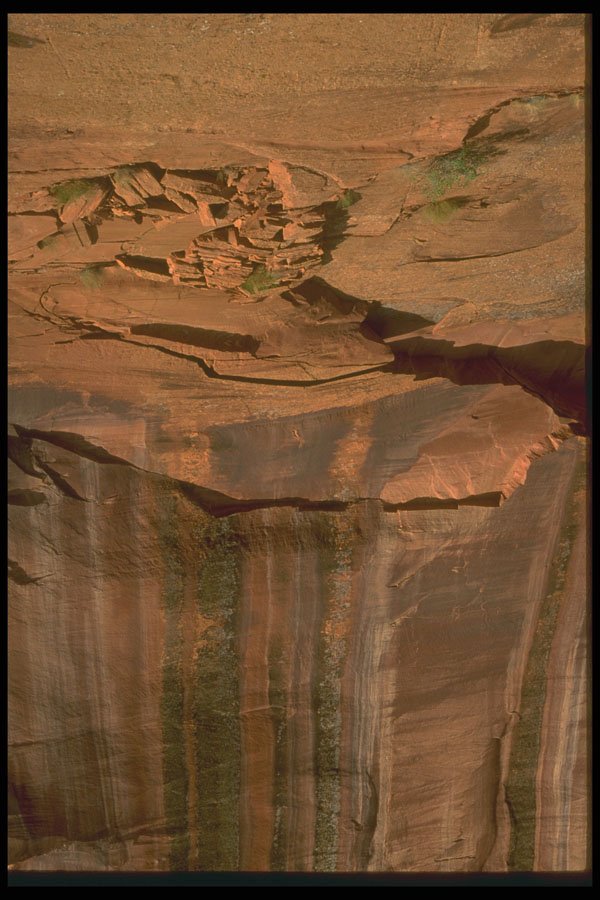 366086 Detail At Bottom Of Cliff A4 Photo Print