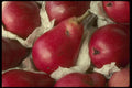 366096 Red Pears A4 Photo Print