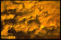 367012 Insulation Close up 1 A4 Photo Print