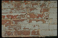 367016 Painted Red Brick Wall A4 Photo Print