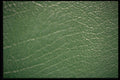 367022 Green Leather Texture A4 Photo Print
