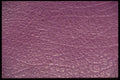 367026 Mauve Leather Texture A4 Photo Print