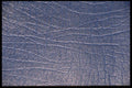 367028 Blue Leather Texture A4 Photo Print