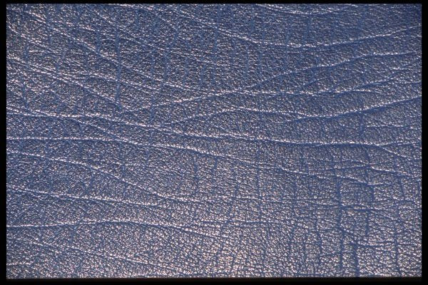 367028 Blue Leather Texture A4 Photo Print