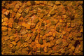367032 Tile Mosaic A4 Photo Print