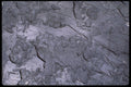 367037 Italian Stone Tiles A4 Photo Print