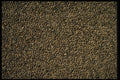 367057 Stone Stucco Warm colored A4 Photo Print