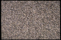 367059 Stone Stucco Bluish A4 Photo Print