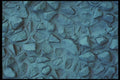 367067 Blue Painted Rock Stucco A4 Photo Print