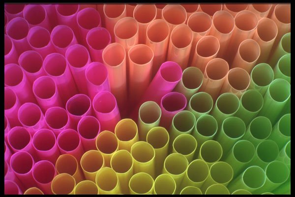 367076 Straws A4 Photo Print