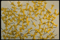 367090 Yellow Push Pins On White A4 Photo Print