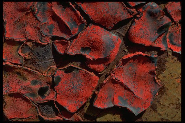 367092 Dried Paint A4 Photo Print