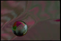 367095 Abstract With Marble A4 Photo Print