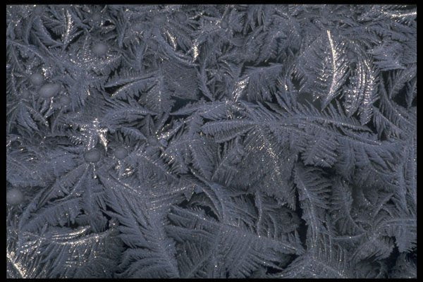 367098 Frost Close up A4 Photo Print