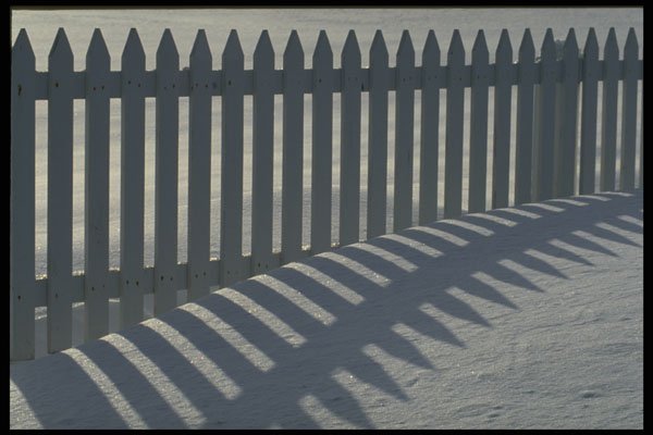 367099 Fence And Shadow A4 Photo Print