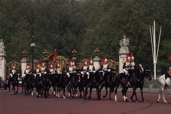 368008 Queen's Mounted Guard A4 Photo Print
