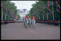 368025 The Royal Coachman A4 Photo Print