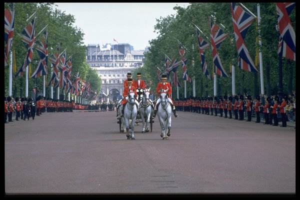 368025 The Royal Coachman A4 Photo Print