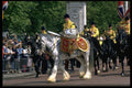 368031 Mounted Band On Parade A4 Photo Print