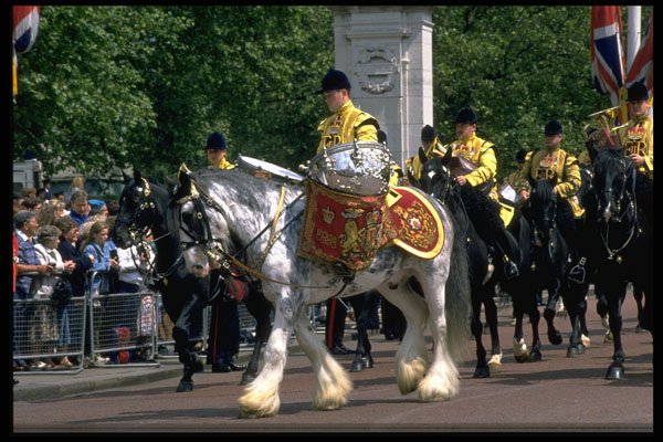 368031 Mounted Band On Parade A4 Photo Print