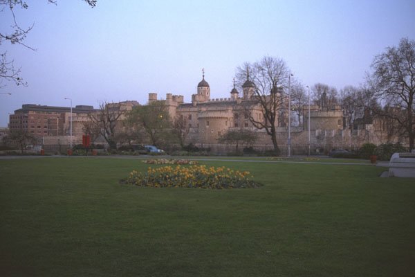 368055 The Tower A4 Photo Print