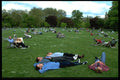 368091 St. Jame's Park A4 Photo Print