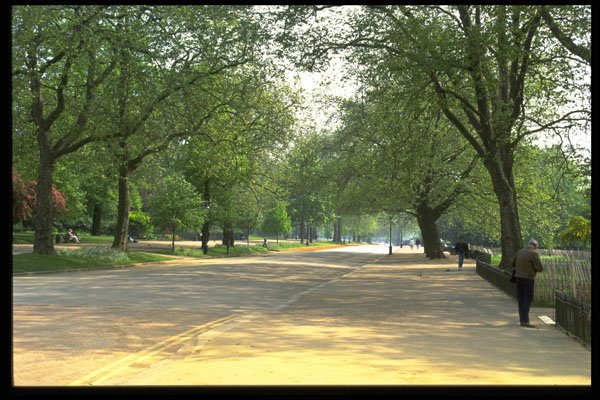 368095 Rotten Row, Hyde Park A4 Photo Print
