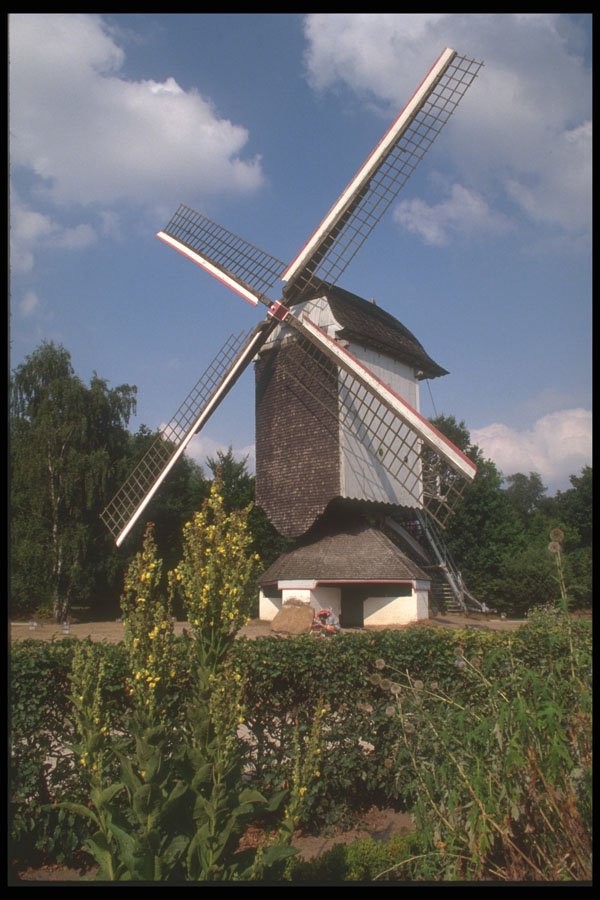 369004 A Windmill Built In 1788, Bokrijk A4 Photo Print