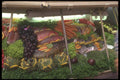 369029 Seafood Display A4 Photo Print