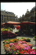 369073 Flower Market In Main Square, Brussels, Belgium A4 Photo Print