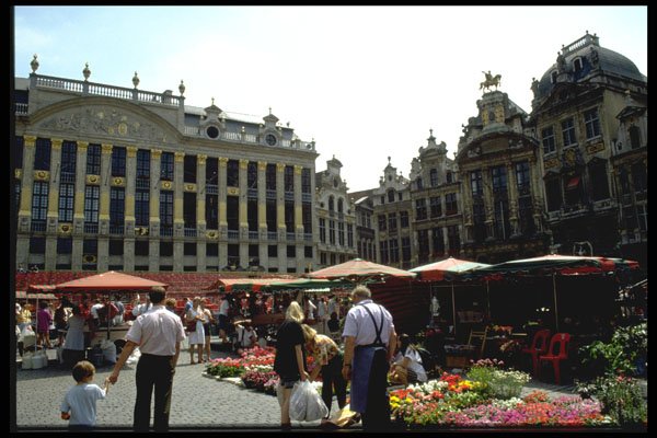 369074 Flower Market In Main Square, Brussels, Belgium A4 Photo Print