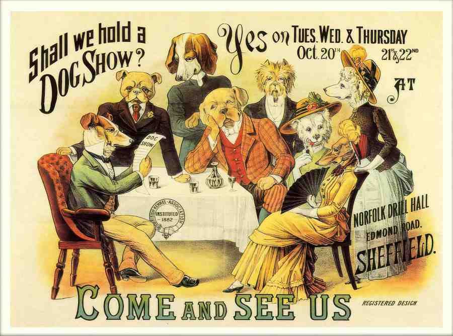 37 dog show poster 1880s 2 Vintage Advert A4 Photo Print