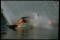 370010 Waterskier (slalom Skiing) Rounding Red Buoy A4 Photo Print