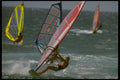 370012 Multiple Windsurfer A4 Photo Print