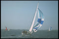 370017 Sailing A4 Photo Print