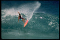 370026 Cutting Back On Oahu's North Shore A4 Photo Print