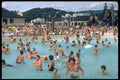 370066 Swimming, Aqua Park A4 Photo Print
