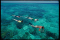 370068 Snorkeling In The Clear Caribbean Water A4 Photo Print