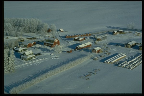 371047 Farm, Codette, Saskatchewan A4 Photo Print