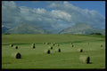 371061 Hayfields, Foothills, Pincher Creek, Alberta A4 Photo Print