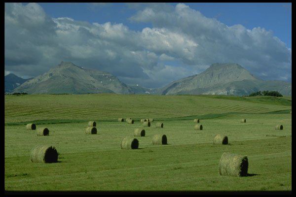 371061 Hayfields, Foothills, Pincher Creek, Alberta A4 Photo Print