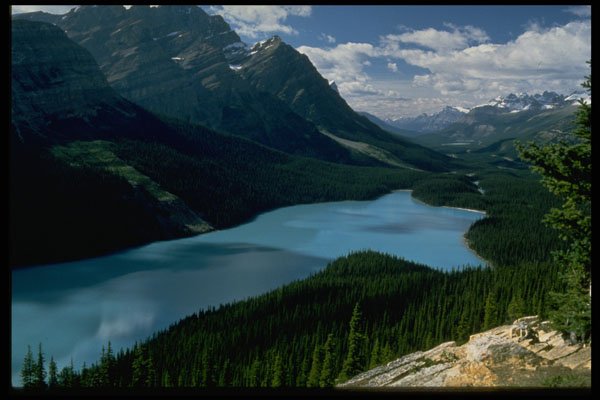371063 Peyto Lake, Icefields Parkway, Alberta A4 Photo Print