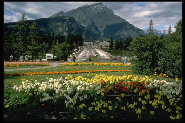 371074 Flowers, Banff Avenue, Banff, Alberta A4 Photo Print