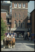 372015 Carlsberg Brewery, A Beer Delivery Wagon A4 Photo Print