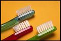 373014 Three Toothbrushes A4 Photo Print