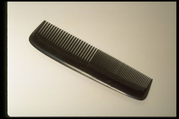 373041 Comb A4 Photo Print