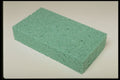 373042 Sponge A4 Photo Print