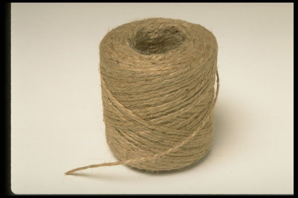 373045 String A4 Photo Print