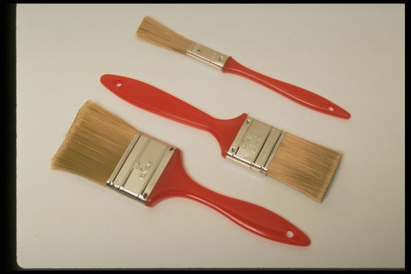 373060 Paintbrushes A4 Photo Print